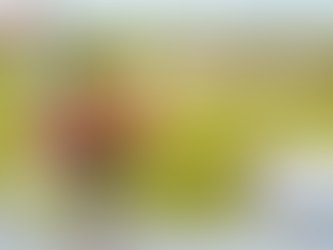 카마그라는 지친 하루 끝, 다시 불붙는 열정을 위한 남자의 리필 버튼입니다.