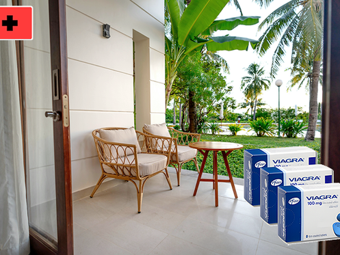 비아그라 100mg 가격과 선택의 기준