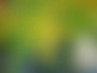 레비트라 효과 - 열정을 지탱하는 현실, 건강한 몸과 마음