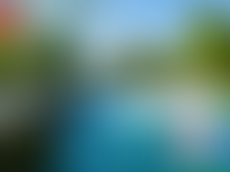 리듬의 변화를 이해하는 과학, 비아그라 100mg 부작용의 진실