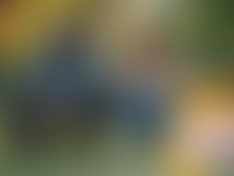 골드드래곤 구입, 외면한 고민이 우리를 좁은 길로 내몰 때