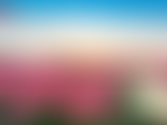 시알리스 10mg판매 - 관계 속에서 피어나는 용기, 그리고 자신감