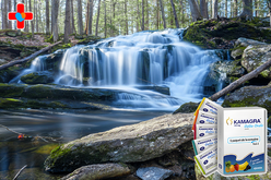 원주 정품카마그라, 스테미너가 곧 경쟁력이다