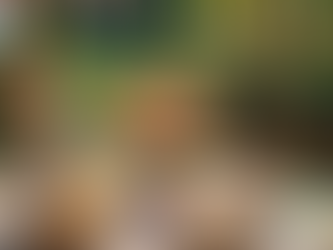 건강한 부부사랑 - 시알리스로 되찾는 행복한 관계