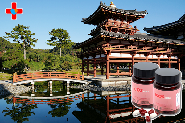 아이코스 가격, 다시 설레고 싶다는 마음을 포기하지 마세요