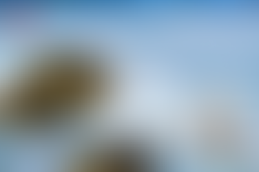 비맥스 골드 가격 이상의 가치, 찬란한 순간을 위한 일상 설계도