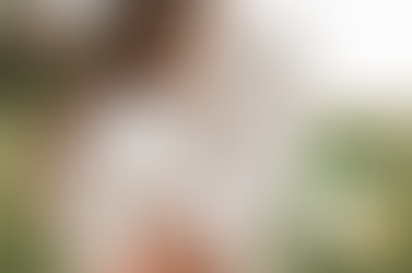 정품 시알리스 안전하게 구매하는 방법 하나약국