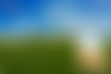 정품 골드시알리스 복용법, 안정감을 위한 첫걸음