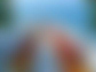 비아그라와 함께 사랑의 꽃길을 걸어가길