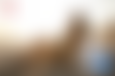 비아그라100mg직구, 활력이 만드는 두 번째 전성기