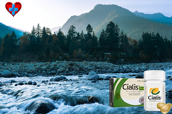 시알리스 100mg 복용법, 관계를 아는 남자의 품격 있는 선택