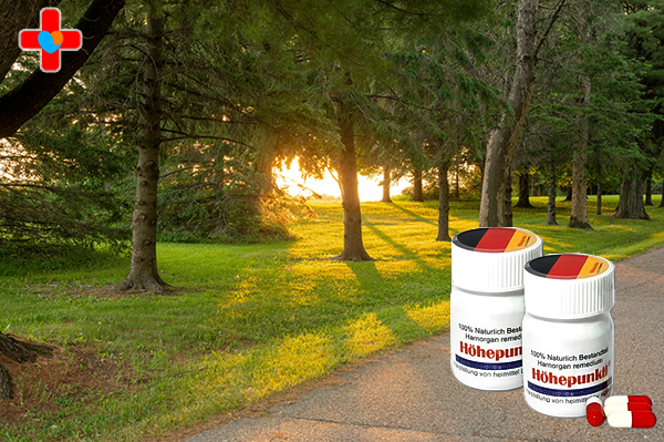 해포쿠후기, 관계 회복을 증명하는 생생한 기록들