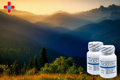 칵스타 구매후기, 하나약국에서 확인한 믿음의 선택