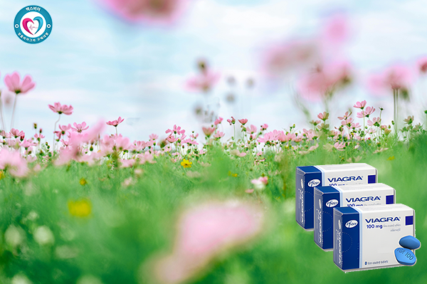 양주 비아그라정품판매, 지난날의 짜릿함을 단단한 사랑으로