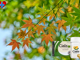 로얄시알리스제네릭가격, 비아마켓이 제안합니다