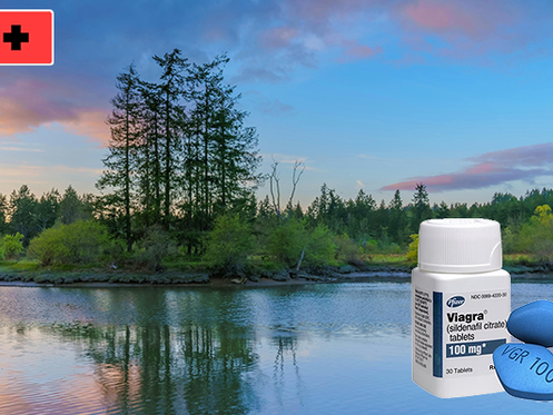 비아그라 100mg 가격, 비아마켓에서 누리는 혜택