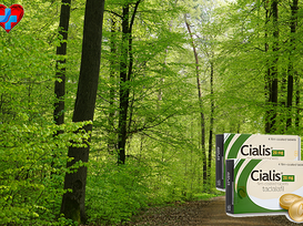 수입시알리스먹는법, 평범한 행복을 지탱하는 건강한 습관