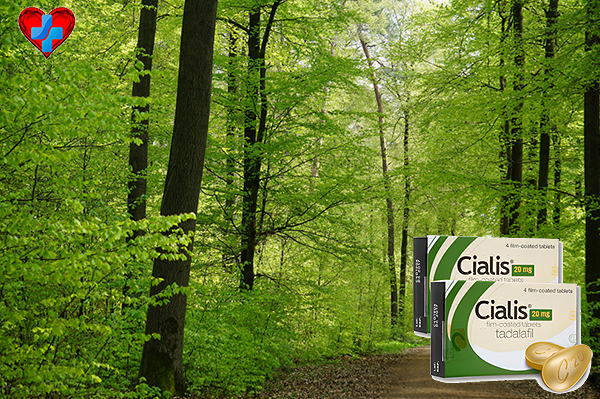 수입시알리스먹는법, 평범한 행복을 지탱하는 건강한 습관