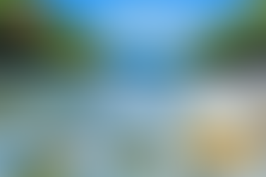 세대별 기능 강화법, 정품 골드비아그라로 완성하세요