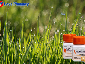 레비트라 50mg구입, 다시 가까워지는 순간