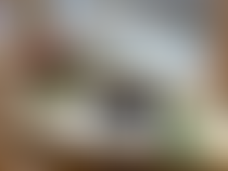 시알리스, 관계 회복을 위한 한 밤의 마법