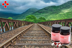 아이코스 후기로 확인된 변화, 위축된 반응의 고리를 끊는 첫걸음입니다.