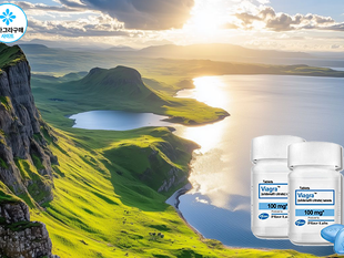 비아그라와 함께하는 성기능 저하 예방의 해답