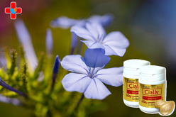 골드시알리스 구입, 부부와 커플 모두를 위한 남성 건강 가이드