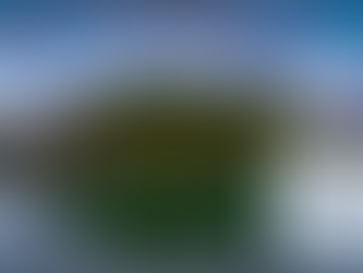 인터넷 칵스타구입, 믿을 수 있는 남성 활력 파트너