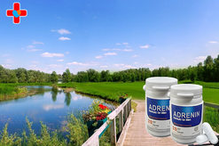 아드레닌 구입 사이트에서 완성하는 남성 자신감