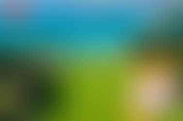 골드드래곤 효능, 숫자보다 중요한 남자의 진짜 자신감을 완성하다.