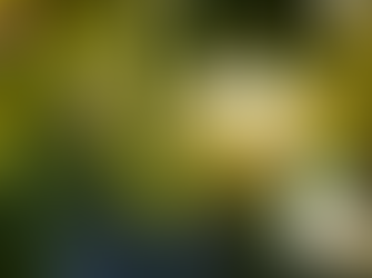 시알리스 성능 - 변화의 시작은 정보에 대한 신뢰에서