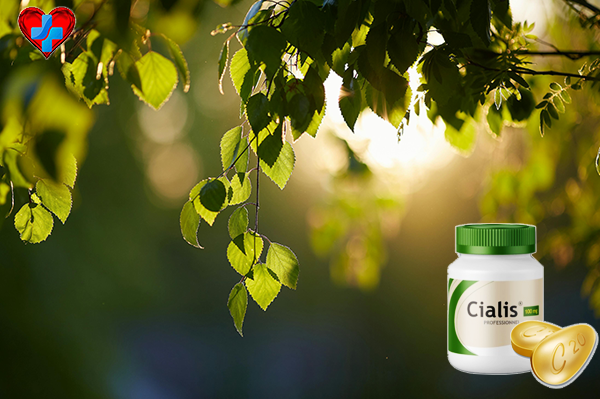 시알리스 성능 - 변화의 시작은 정보에 대한 신뢰에서