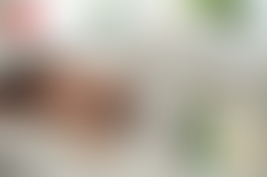 비아마켓이 소개하는 유쾌한 발견, 씨알리스제조사