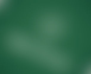 What does a career in information technology look like?