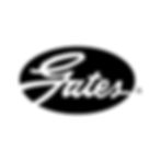 logo-gates