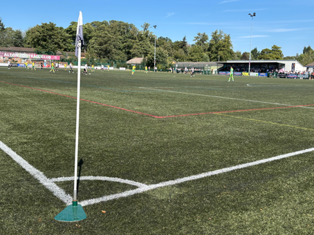 Another day…another mascot 😻