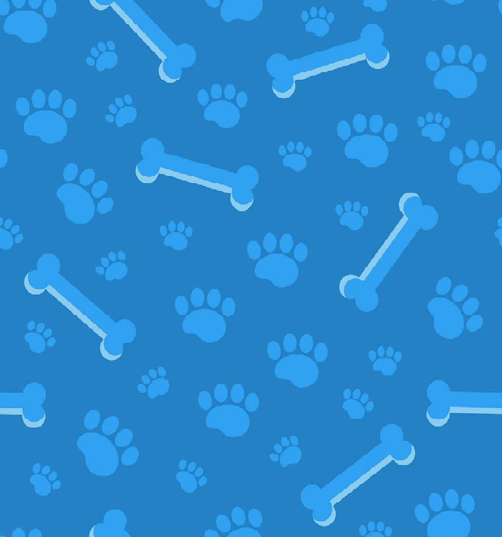 dog-bones-seamless-pattern-bone-and-traces-vector-17619414.jpg
