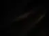 グループ 158.webp