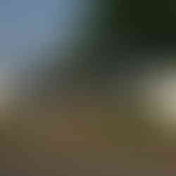 Killen - Staples Home