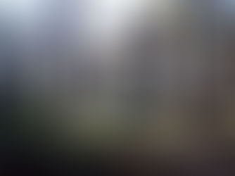 Felder-Ragin-Barnes-Gallemore Home