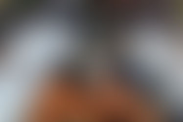 Horse Thieves - John Murrell's gang