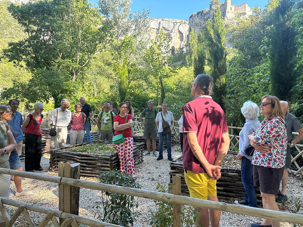 Retour en image sur les contes dans le jardin du musée Pétrarque