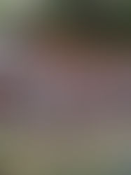 Retour en image sur "Cyrano de Bergerac" aux Mines de Bruoux, Gargas