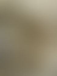 Retour en images pour la journée du patrimoine à Monteux avec les conteurs(ses) du TRAC