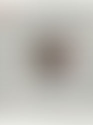 On parle de "L'Avare de Molière ou la teuf au fric"... dans la presse