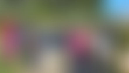 Retour en image sur la Balade contée "Flânerie et rêverie autour de l'Etang salé" de Courthézon 