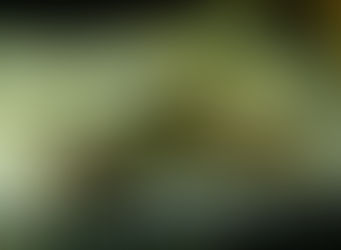 Mokèlé-Mbèmbé Bichir