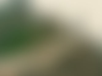 《春節專欄》長城上的小小守護者