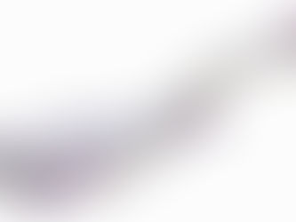 阿拉巴馬球齒龍（Globidens alabamaensis）